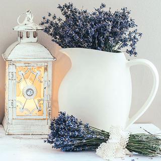 Lavander Cottage